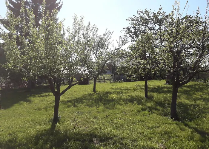 La Petite Ferme D'albert Nyaraló *