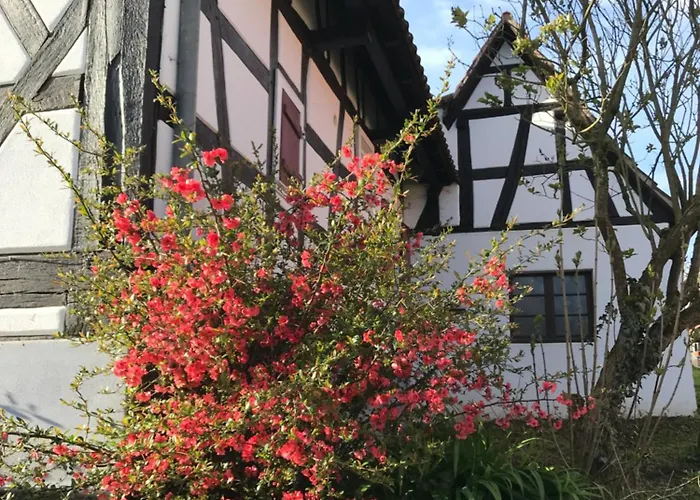 La Petite Ferme D'albert Steinseltz